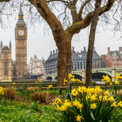 Spring Statement: 13 March 2019