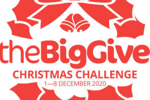 The Big Give Christmas Campaign
