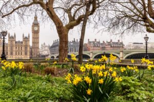 spring statement
